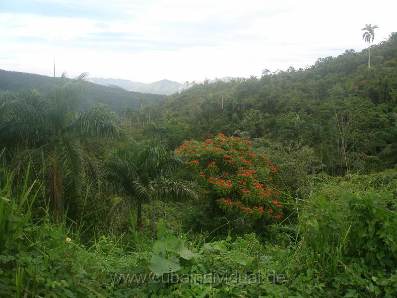 1360 Sierra del Escampray.JPG