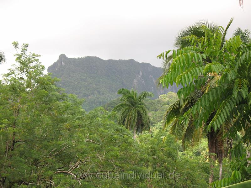 4620 Baracoa - Fahrt zum El Yungue.JPG