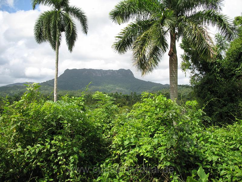 4740 Baracoa - Fahrt zum El Yungue.JPG