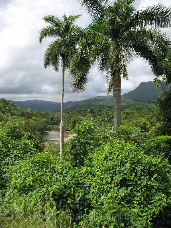 4770 Baracoa - Fahrt zum El Yungue.JPG