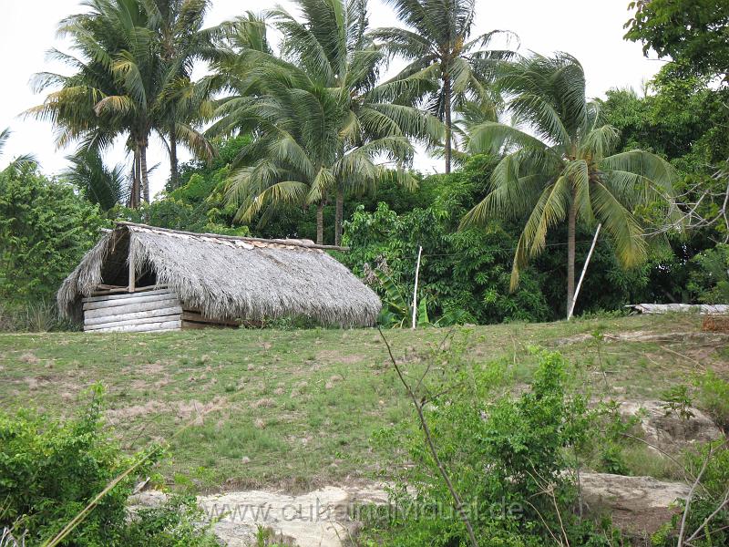 4790 Baracoa - Fahrt zum El Yungue.JPG