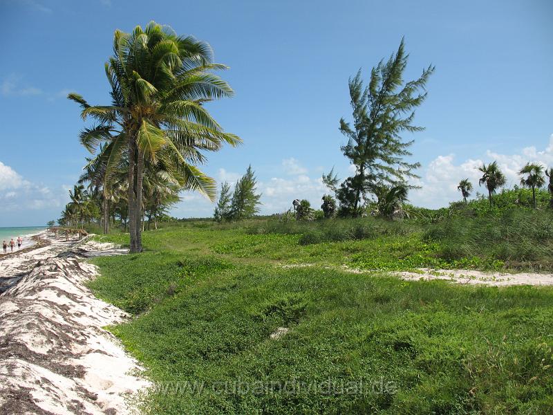 7045 Cayo Coco - Hotel Melia .JPG