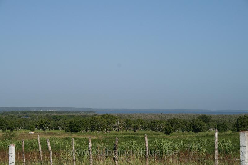 IMG_1240.jpg