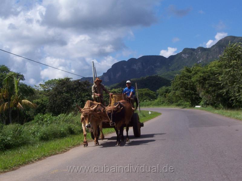 cuba 2007 228.jpg