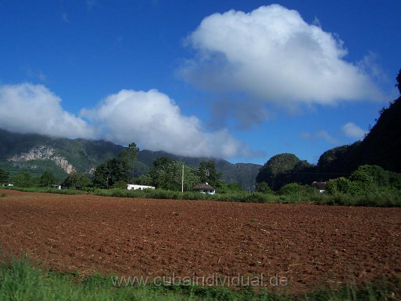 cuba 2007 275.jpg