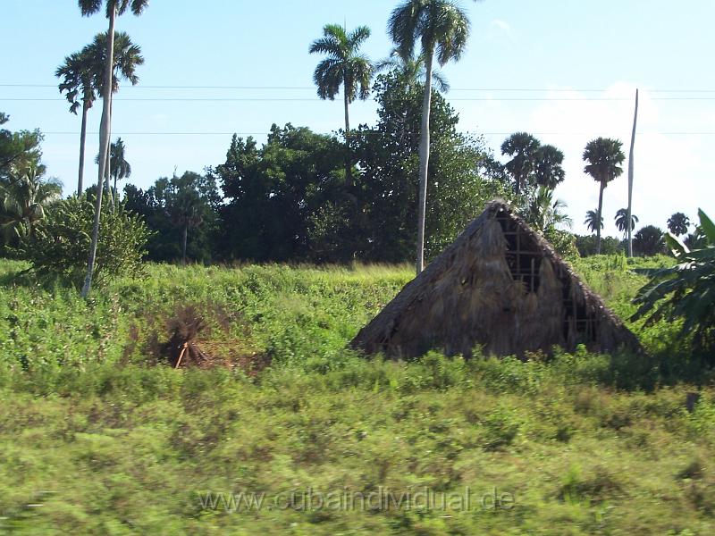 cuba 2007 296.jpg